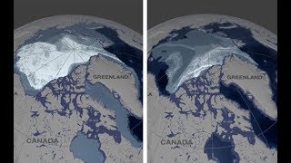 Così in 35 anni è scomparso il ghiaccio del Polo Nord il timelapse della Nasa  Insider Italiano [upl. by Llenor]