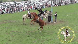 Jineteada en bastos 9 de julio El Relincho La Paz 2023 caballos jinete charreada jaripeo [upl. by Yllek821]