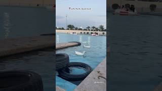 Life park Dammam lifepark dammam explore saudiarabia travel shorts trending shortvideo [upl. by Jamima243]