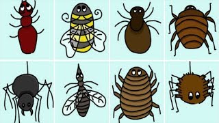 Descubre cómo identificar las 8 picaduras de insectos más comunes  Jaime Andevert [upl. by Barby]