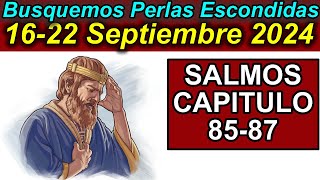 Busquemos PERLAS ESCONDIDAS de esta semana 1622 de Septiembre 2024 Comentarios [upl. by Kooima]