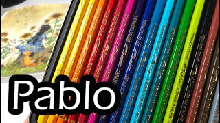 Trying Out Pablo Coloured Pencils by Caran DAche [upl. by Latricia]