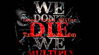 WDDWM  we dont die we multiply  187  REMIX 2K13 [upl. by Windsor]