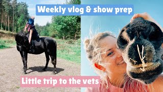 WEEKLY VLOG amp SHOW PREP  Trip to the vets  KATIELEWIS100 [upl. by Eduardo]