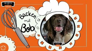 Backmatte Leckerli Rezept für den Hund  Selber backen [upl. by Gosney592]