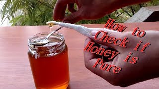 How to check if Honey is Pure [upl. by Eerbua]