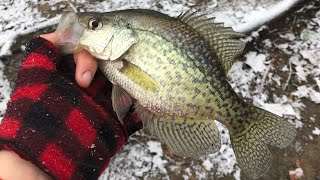 Black Crappie on a Snowy Day at Newton lake in New Jersey [upl. by Maura]