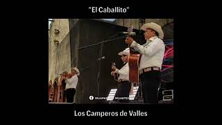 Los Camperos de Valles  El Caballito [upl. by Hilario]