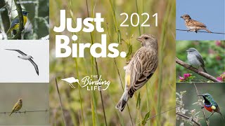 Birds of South Africa 2021 [upl. by Fai]