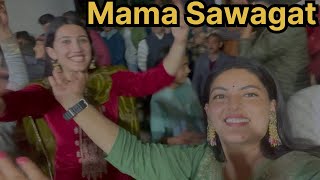 USA wedding Mama sawagat Himachali wedding weddingsujanthakurvlogs shimlaweddingdance [upl. by Jabin]