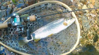 Searching for Brown Trout on the Wild and Scenic Mokelumne River [upl. by Nhtanhoj]