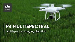 P4 Multispectral  Multispectral Imaging Drone Solution [upl. by Ylenaj]