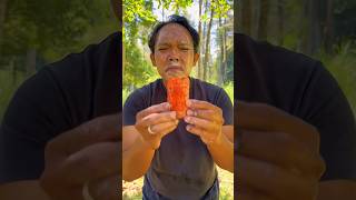 SIMPLE ideas you should knowcampinglifehacksurvival bushcraftoutdoors 106 [upl. by Airebma220]