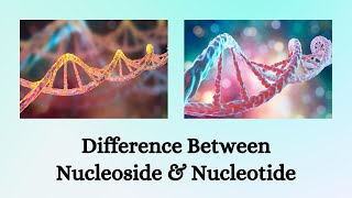 Difference Between Nucleoside and Nucleotide  Nucleoside vs Nucleotide The Difference Unpacked [upl. by Ljoka57]