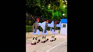 The Evzones  the elite Greek Presidential Guard  Hellassatisfying viral greek travel [upl. by Cayser989]