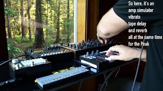 Jam in the woods w Elektron Digitone Novation Peak Empress Zoia Teenage Engineering OPZ [upl. by Felton]