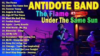 Best Antidote Band Non Stop Cover Oldies Songs  Nonstop Slow Rock Love Songs 2024 Greatest Hits [upl. by Ecydnak]