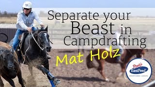 How to separate your beast in campdrafting [upl. by Gmur]