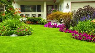 Lawn design Garden  Garden Lawn Design  Chamn Design [upl. by Bindman]