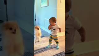 Adorable Babysitter Ever l Baby Laughing l shorts babysitter baby dogs [upl. by Anallise]