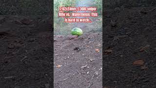 762x51mm 308 sniper Rifle vs Watermelon This is hard to watch [upl. by Ardnosak]