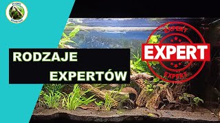 Rodzaje Expertów [upl. by Ahsielat]