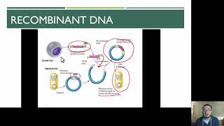 Forensic Science  DNA [upl. by Mcloughlin]