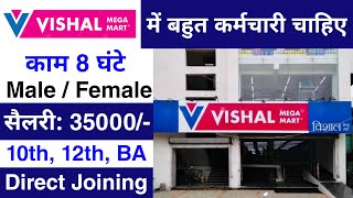 Vishal Mega Mart मैं निकली भर्ती  Mall Job vacancy 2024  Vishal job Vacancy 2024  Jobvalley [upl. by Eiramasil]