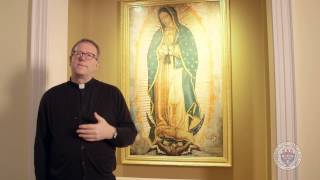 Mundelein Seminary Presents Fr Barron on Our Lady of Guadalupe [upl. by Lezley]