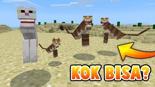 KUCING MACAM APA IN  MCPE 18014 [upl. by Toscano419]