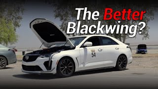 Cadillac CT4V Blackwing Review on Track  Buttonwillow Raceway [upl. by Rubliw]