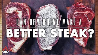 Steak Experiment Can DRY BRINE Make a BETTER STEAK  Salty Tales Cooking [upl. by Eintihw533]