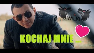 Młode Wilki feat JAREK BANDZIOREK amp DANUSIA  KOCHAJ MNIE Official video4k 2024 [upl. by Etakyram973]