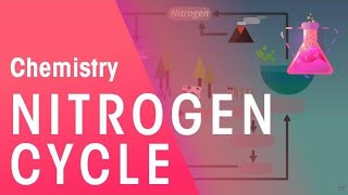 The Nitrogen Cycle  Environmental Chemistry  Chemistry  FuseSchool [upl. by Ycniuqal]