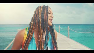 DSound amp Shontelle  Necessary Love Official Music Video [upl. by Eddina204]