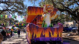 LSUs Mardi Gras Mambo letting the good times roll on campus [upl. by Prouty848]