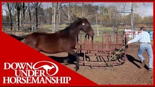 Clinton Anderson Presents Running Scared Training An Aggressive Horse [upl. by Noivert]