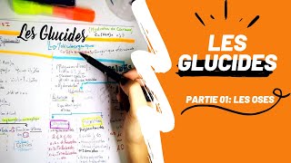 📣 Biochimie 1 Révision DES GLUCIDES PARTIE 01  Les Oses en détails👌 biologyUSTHBBIOCHIMIE [upl. by Oironoh401]