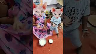 🍚🍚🍚Lalla Lalla Lori Lalla kare Tamasha 🍚🍚🍚😹😹😹👌👌👌👌🤪🤪🍚🍚🍚 funny cute viral short [upl. by Nwatna]