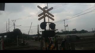 part 1 hunting kereta persilangan [upl. by Mabel]