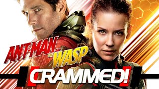 කූඹි මිනිසා 2  ant man 2 සම්පූර්ණ කතාව සිංහලෙන්  ant man full movie in Sinhala [upl. by Masao]