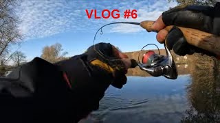 forellenhof sünninghausen  forellenangeln im winter  trout fishing  video 4K [upl. by Nosirrag639]