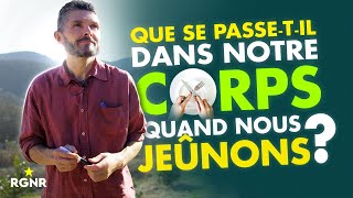 Que se passe til dans notre corps quand nous jeûnons [upl. by Leirad]