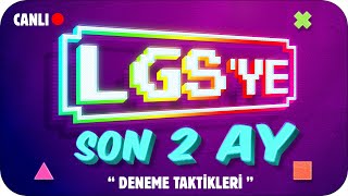 LGS Deneme Netlerini TAVAN YAPACAK TAKTİKLER❗ LGSYE SON 2 AY 🎯 [upl. by Ardnuhsed]