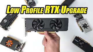 This New Low Profile GPU Might Just Be What Your SFF PC Needed [upl. by Luigi]