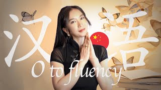 How to learn Mandarin Chinese from 0fluency  Resources Methods and Study Plans [upl. by Eanad859]