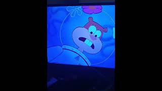 PreHibernation Week Clip Sandy Finds Spongebob [upl. by Esydnac]