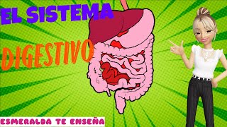 El Sistema Digestivo  El Cuerpo Humano  Esmeralda Te Enseña [upl. by Zolly441]