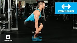 How to Dumbbell Squat  Mike Hildebrandt [upl. by Avelin]