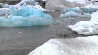 Wim Hof The Iceman [upl. by Feeney276]